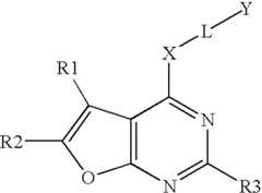 Figure US07456187-20081125-C00017
