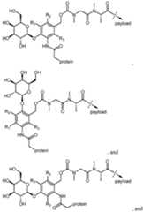 Figure imgf000008_0001