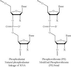 Figure US12214023-20250204-C00003