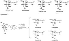 Figure imgf000258_0001