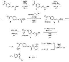 Figure 112006077693653-pct00060