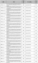 Figure BDA0002379404260001161