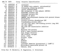 Figure imgf000056_0001