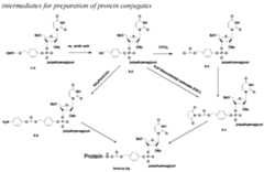 Figure imgf000184_0001