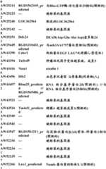 Figure BDA0000057170160001021