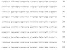 Figure 108123466-A0305-02-0537-481