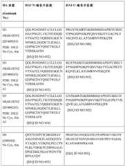 Figure BDA0004089703340001721