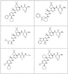 Figure imgf000161_0001