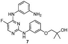 Figure BDA0001453135130002243
