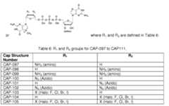 Figure imgf000032_0002