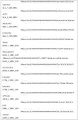 Figure BDA0002117476820001171