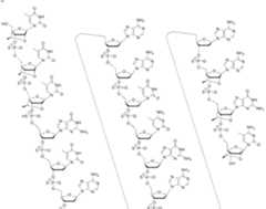 Figure imgf000035_0001