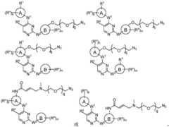 Figure BDA0001453135130001171