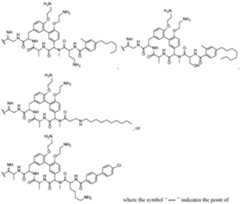 Figure imgf000055_0001