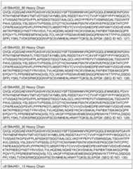 Figure imgf000044_0001