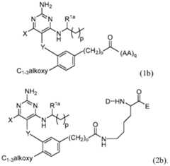 Figure imgf000029_0001