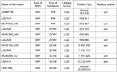 Figure imgf000057_0001