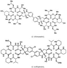Figure imgf000031_0001