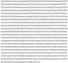 Figure 549773DEST_PATH_IMAGE014