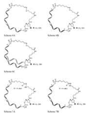 Figure imgf000108_0001