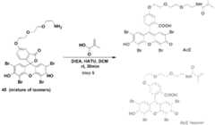 Figure imgf000072_0001