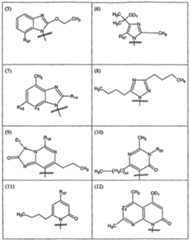 Figure imgf000097_0001