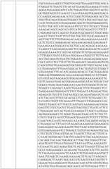 Figure BDA0002317806370000771