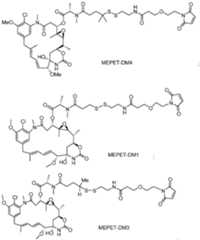 Figure imgf000047_0001