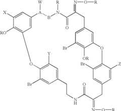 Figure US06734211-20040511-C00023