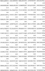 Figure BDA0003092930280000441