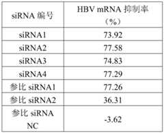 Figure PCTCN2022105340-appb-000051
