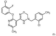 Figure imgf000010_0001