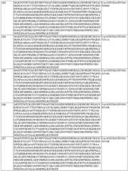 Figure BDA0004183790070000801