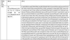 Figure BDA0001868160740001632