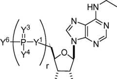 Figure AU2019202835A1_D0219