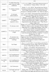 Figure PCTCN2022090268-appb-000060