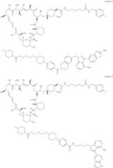 Figure US11364300-20220621-C00448