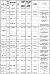 Figure imgf000080_0001