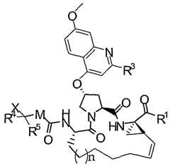 Figure imgf000543_0001