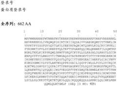 Figure BDA0004078918960001041