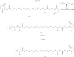 Figure US08618265-20131231-C00215