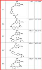 Figure DEST_PATH_IMAGE096