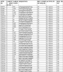 Figure imgf000371_0001