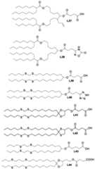 Figure imgf000039_0001