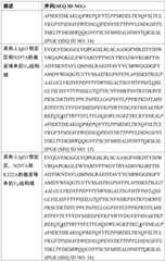 Figure BDA0002763179510000361