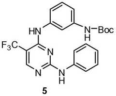 Figure BDA0001453135130003091