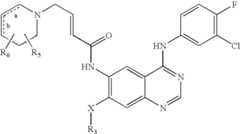 Figure US07772243-20100810-C00022