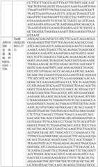 Figure BDA0004033970230005961