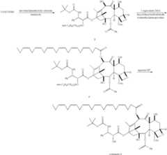 Figure US07199151-20070403-C00009