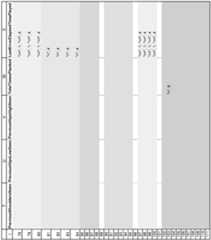 Figure imgf000074_0001